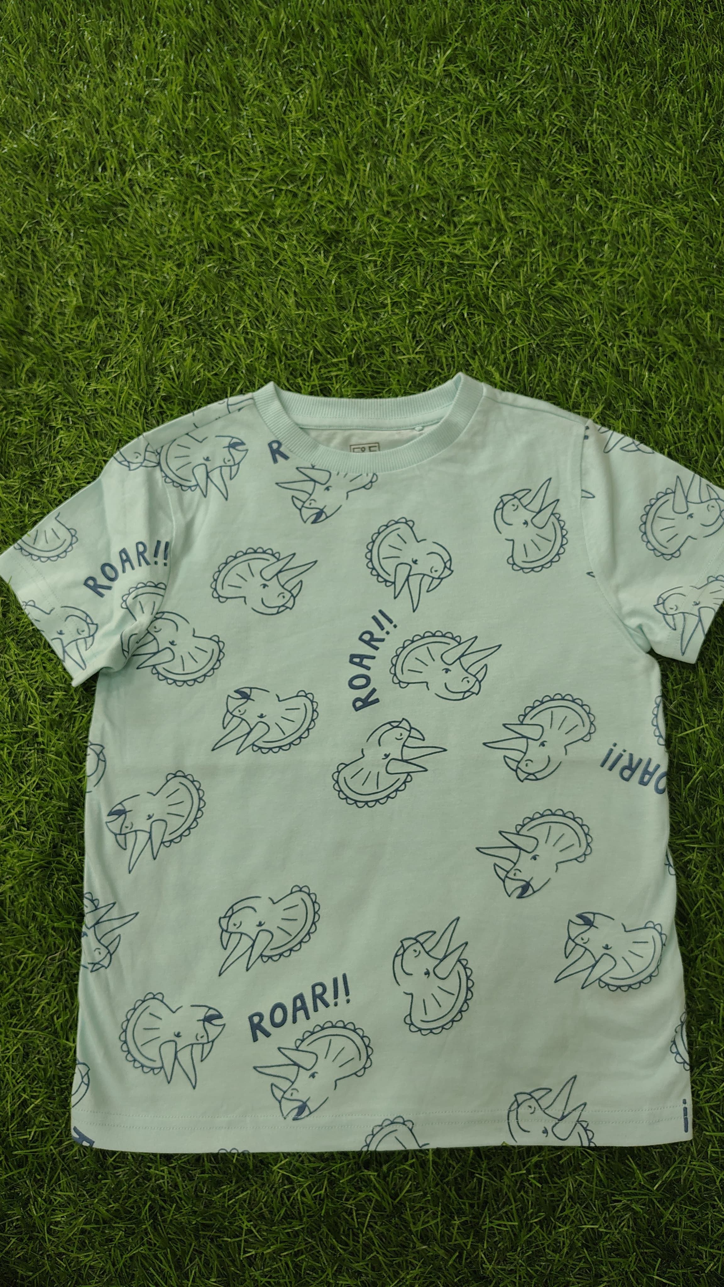 Kids Dino Printed T-Shirt