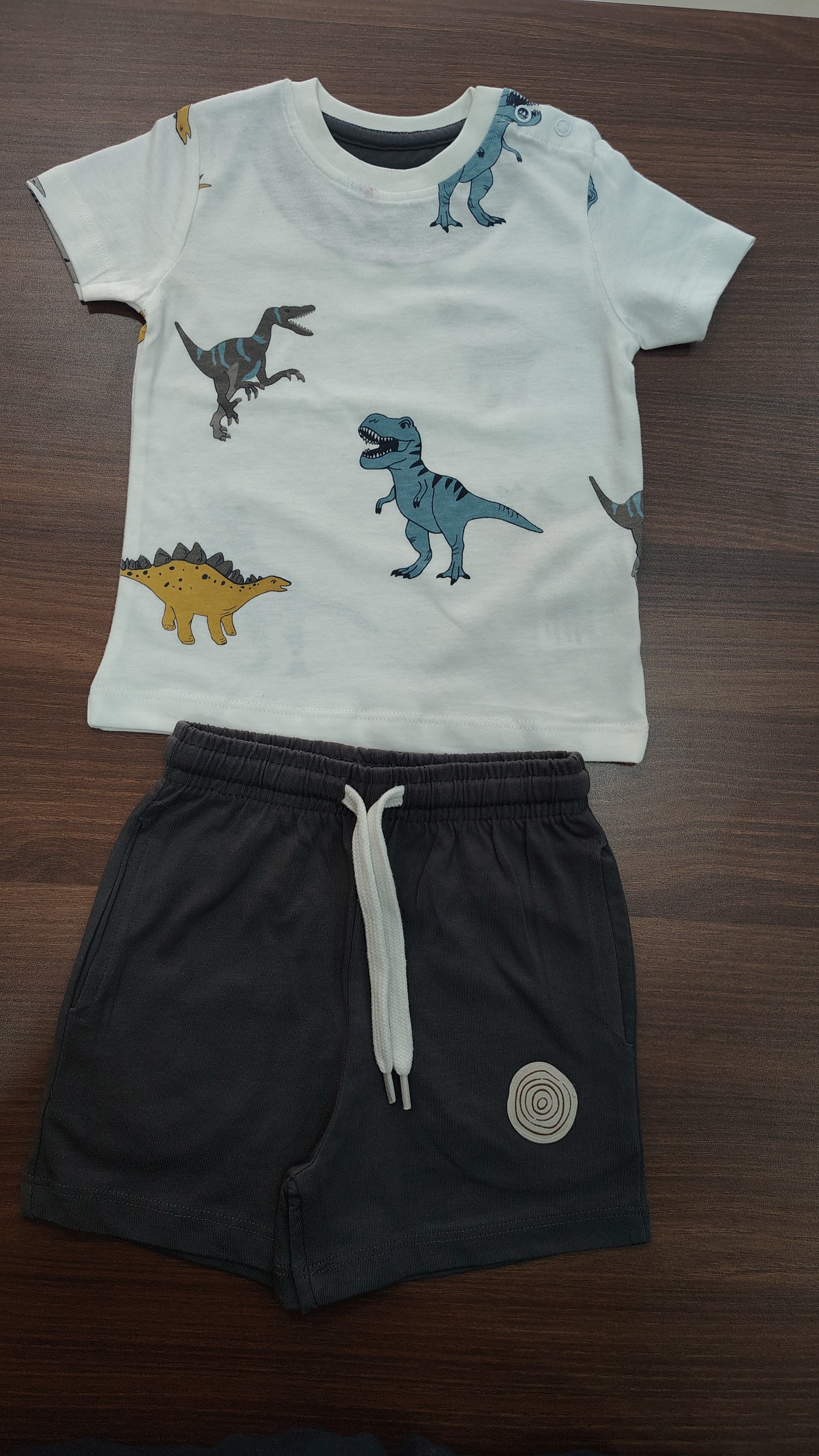 Dino boys shorts set